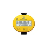 Smart Ultrasonic Water Meter