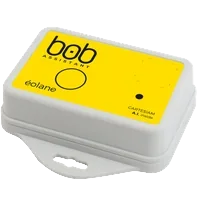Bob Assistant